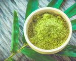 What is matcha tea (matcha), benefits, how to brew What is matcha tea made from?