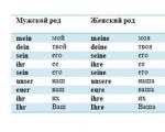 Declinação dos pronomes possessivos Pronomes possessivos na tabela alemã