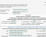 Zero report in the FSS which sheets to fill out Fill out the zero form 4 FSS