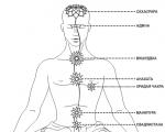 Chakra dan nadi - pusat energi dan saluran tubuh eterik