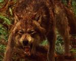 Leggende dei Quileute: antichi racconti sulle origini di lupi mannari e vampiri